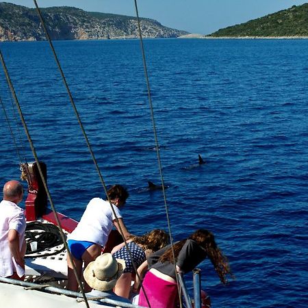 Lidromi Home Πατητήρι Εξωτερικό φωτογραφία